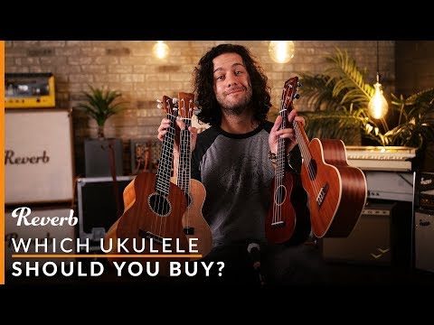 Which Ukulele Should You Buy? | Reverb Buying Guide