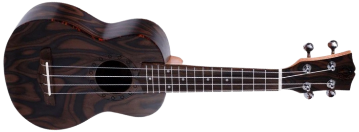 Pyle PUKT55 Soprano Ukulele on a white background