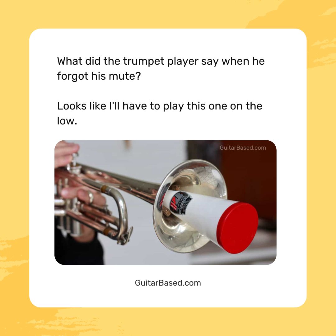 117+ Trumpet Memes, Jokes & Puns That'll Make Every Player Blow Their Top