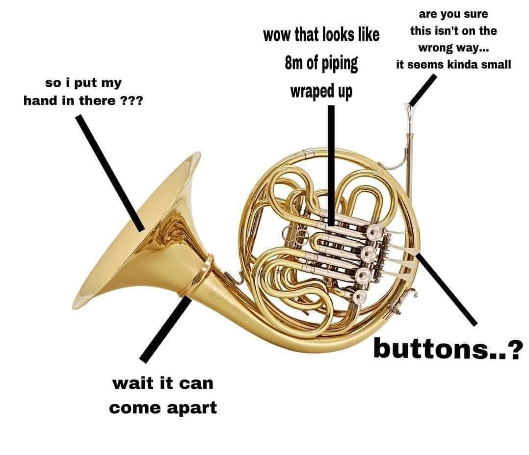 120+ French Horn Memes, Jokes & Puns To Make You Laugh